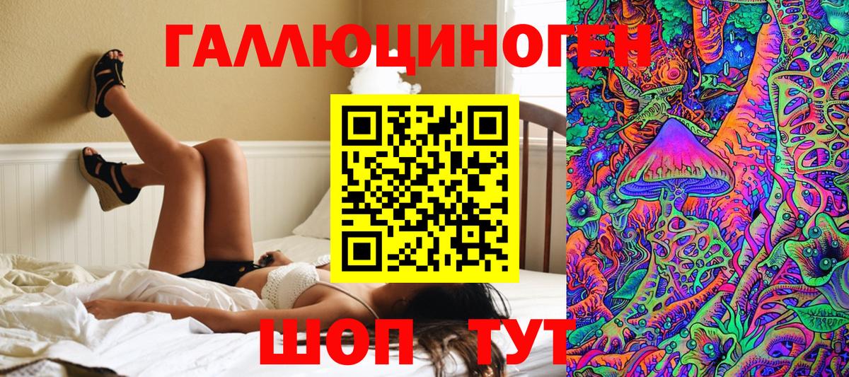 Псилоцибиновые грибы Cubensis Нижний Тагил